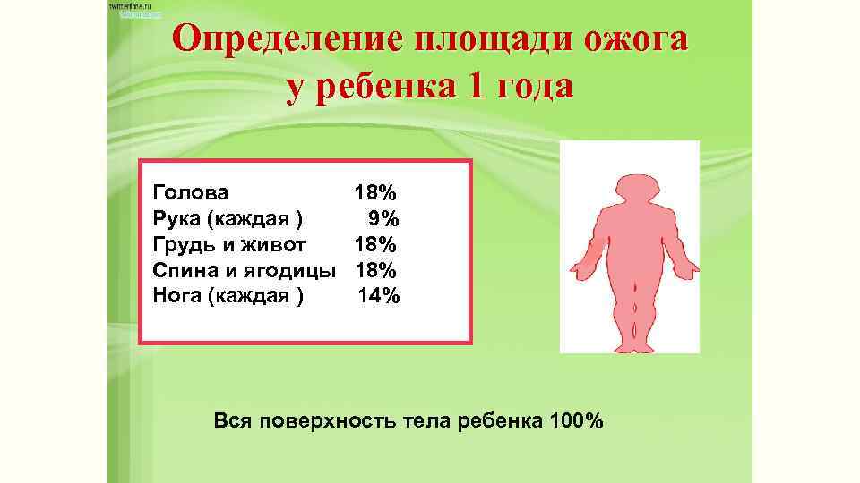Определение площади ожога у ребенка 1 года Голова Рука (каждая ) Грудь и живот
