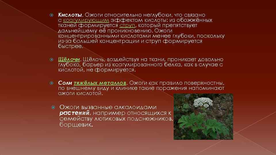  Кислоты. Ожоги относительно неглубоки, что связано с коагулирующим эффектом кислоты: из обожжённых тканей