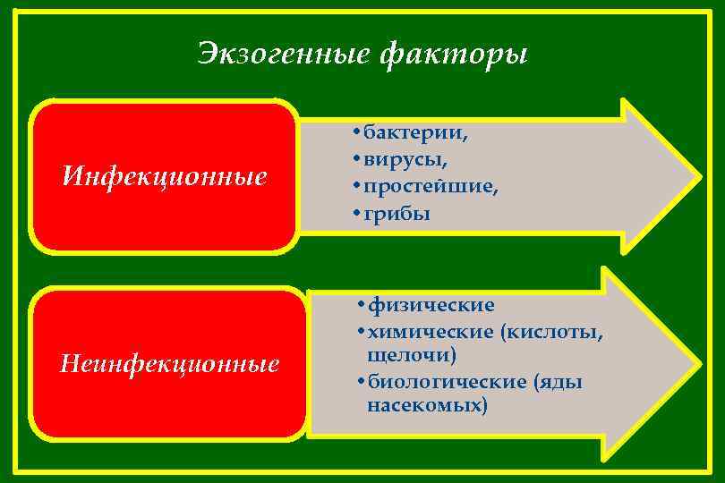 Экзогенные факторы Инфекционные • бактерии, • вирусы, • простейшие, • грибы Неинфекционные • физические