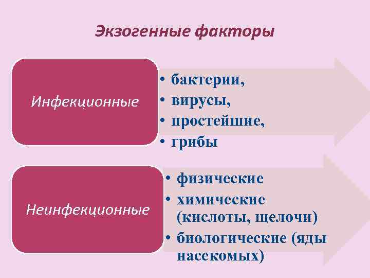 Экзогенные факторы Инфекционные • • бактерии, вирусы, простейшие, грибы • физические • химические Неинфекционные