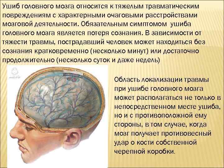 Ушиб головного мозга относится к тяжелым травматическим повреждениям с характерными очаговыми расстройствами мозговой деятельности.