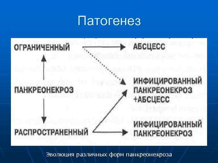 Патогенез Эволюция различных форм панкреонекроза 
