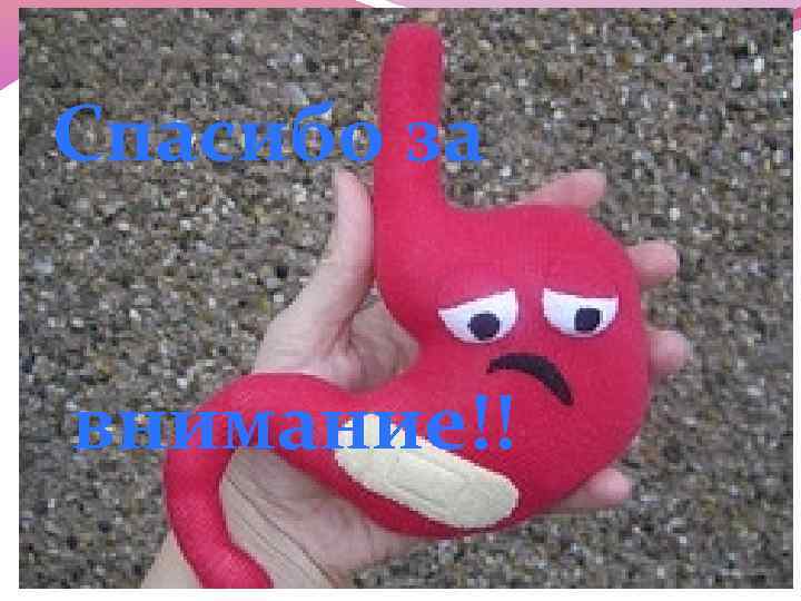 Спасибо за внимание!! 