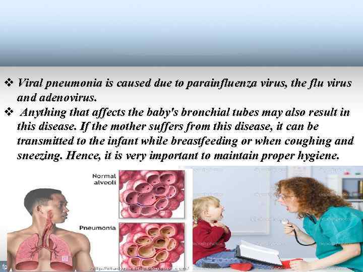 v Viral pneumonia is caused due to parainfluenza virus, the flu virus and adenovirus.