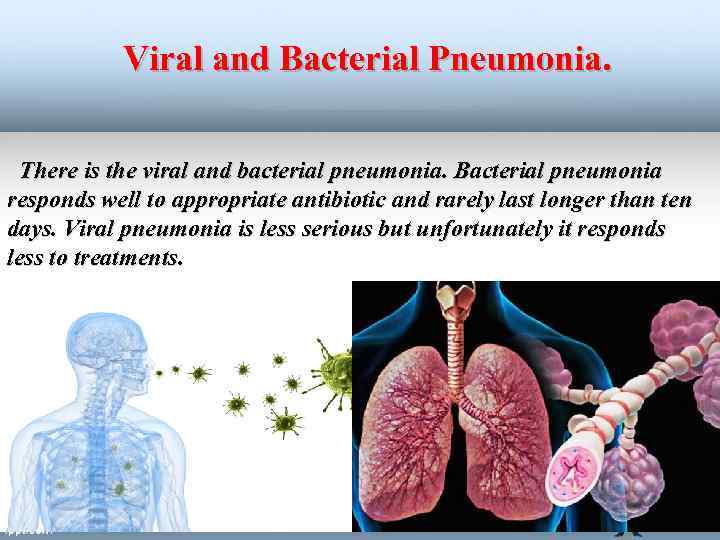 Viral and Bacterial Pneumonia. There is the viral and bacterial pneumonia. Bacterial pneumonia responds