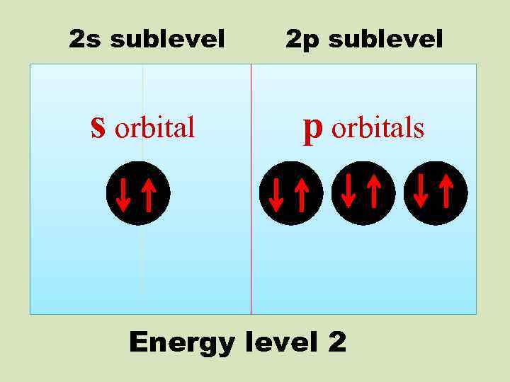 2 s sublevel 2 p sublevel s orbital p orbitals Energy level 2 