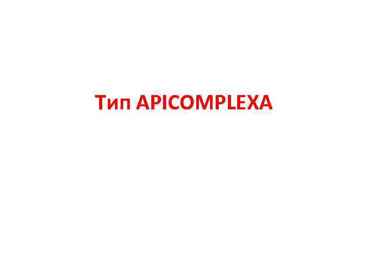 Тип APICOMPLEXA 