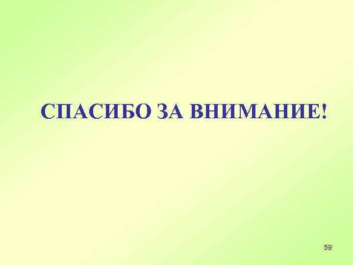 СПАСИБО ЗА ВНИМАНИЕ! 59 