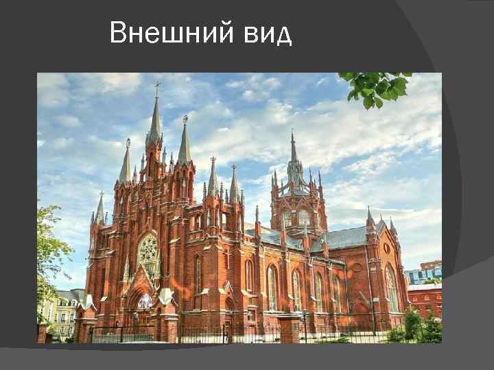 Внешний вид 