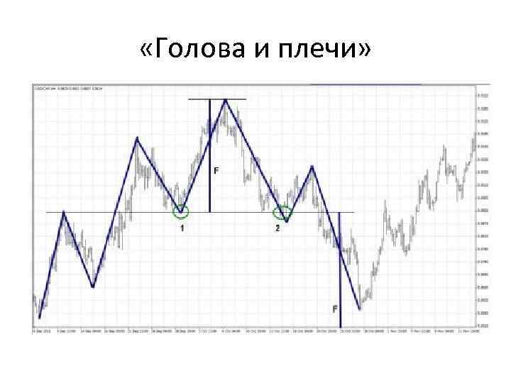  «Голова и плечи» 