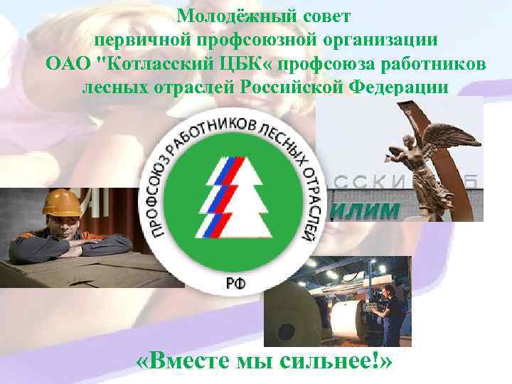 Молодёжный совет первичной профсоюзной организации ОАО "Котласский ЦБК « профсоюза работников лесных отраслей Российской