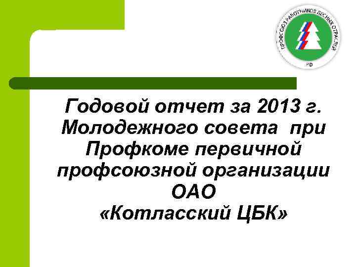 Годовой отчет за 2013 г. Молодежного совета при Профкоме первичной профсоюзной организации ОАО «Котласский