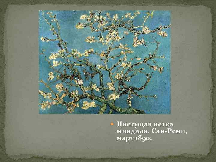  Цветущая ветка миндаля. Сан-Реми, март 1890. 