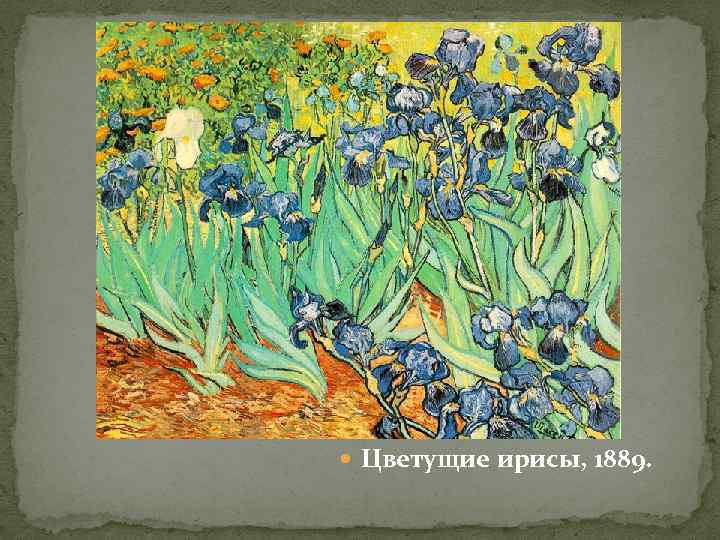  Цветущие ирисы, 1889. 