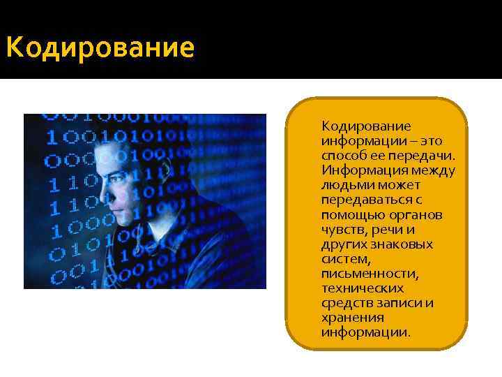 Способ организации информации в файле носит название