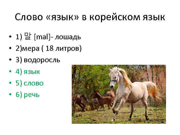 Слово «язык» в корейском язык • • • 1) 말 [mal]- лошадь 2)мера (