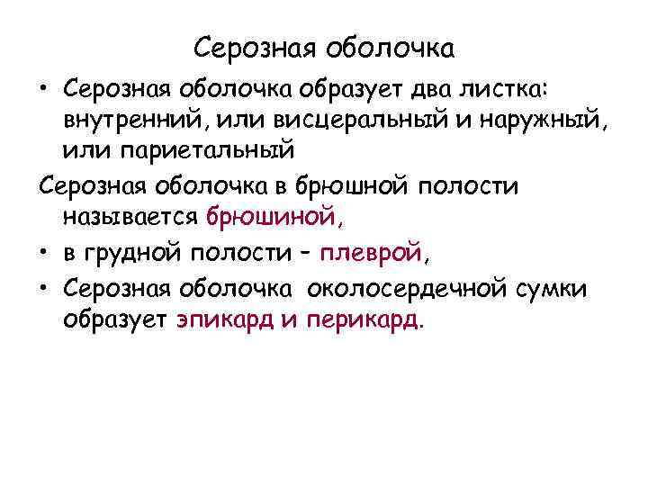 Серозная оболочка • Серозная оболочка образует два листка: внутренний, или висцеральный и наружный, или