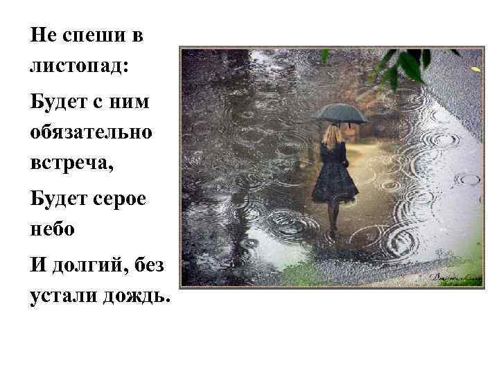 Не спеши в листопад: Будет с ним обязательно встреча, Будет серое небо И долгий,