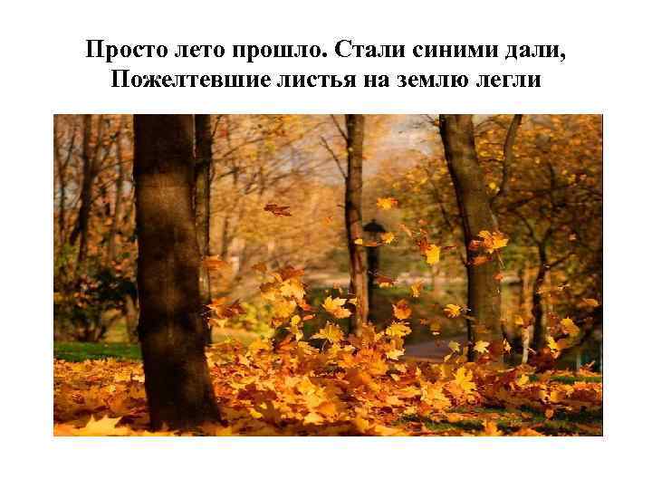 Просто лето прошло. Стали синими дали, Пожелтевшие листья на землю легли 