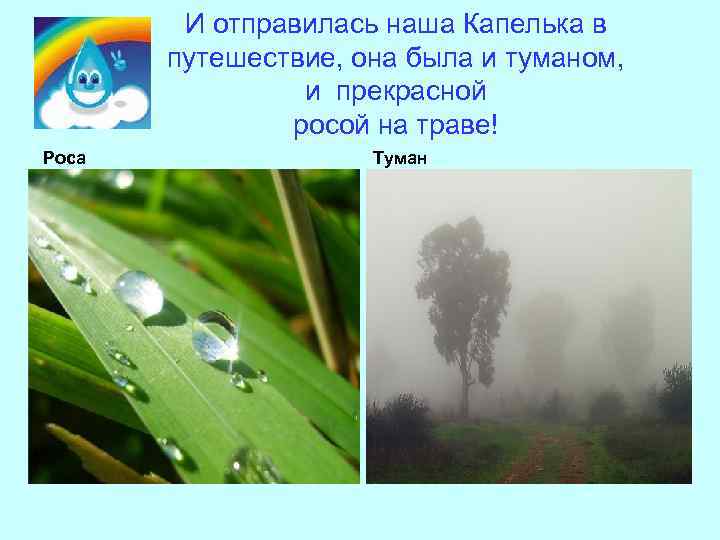 И отправилась наша Капелька в путешествие, она была и туманом, и прекрасной росой на