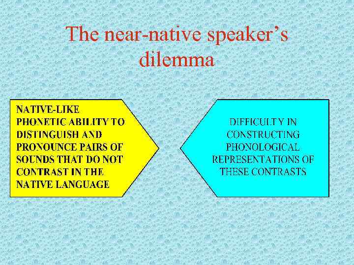 The near-native speaker’s dilemma 