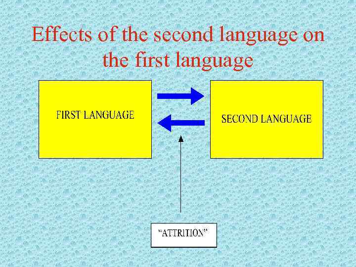 Effects of the second language on the first language 