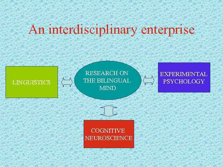 An interdisciplinary enterprise LINGUISTICS RESEARCH ON THE BILINGUAL MIND COGNITIVE NEUROSCIENCE EXPERIMENTAL PSYCHOLOGY 
