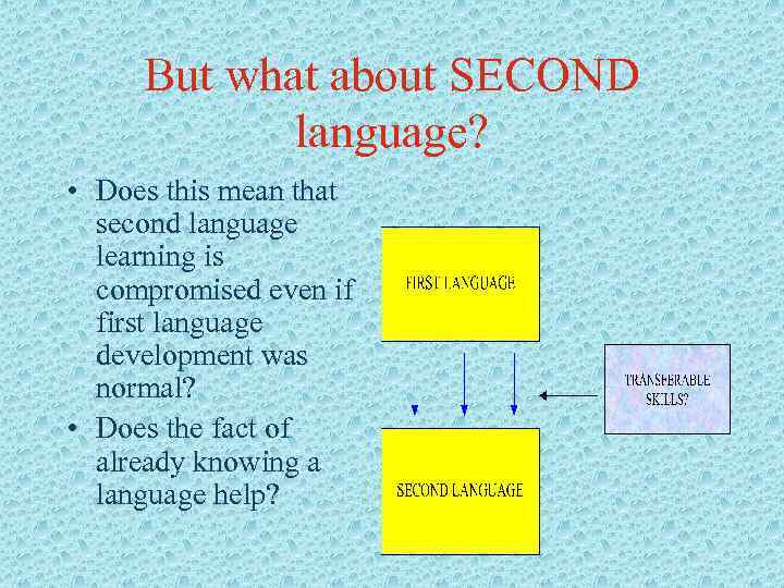 But what about SECOND language? • Does this mean that second language learning is