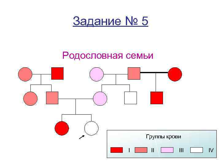 Задание № 5 Родословная семьи Группы крови I II IV 