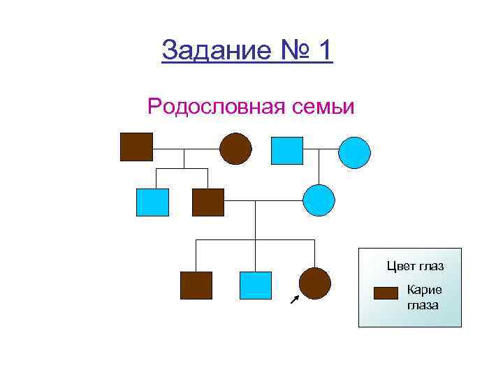 Задание № 1 Родословная семьи Цвет глаз Карие глаза 