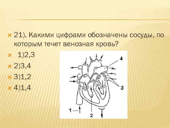 Что обозначено цифрами 1 2