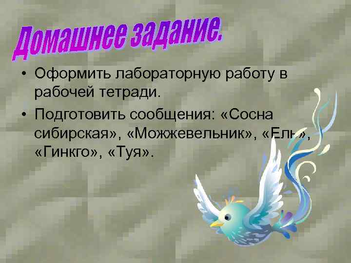  • Оформить лабораторную работу в рабочей тетради. • Подготовить сообщения: «Сосна сибирская» ,