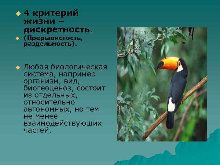u u u 4 критерий жизни – дискретность. (Прерывистость, раздельность). Любая биологическая система, например