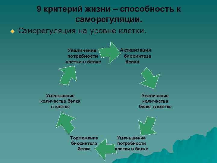 9 критерий жизни – способность к саморегуляции. u Саморегуляция на уровне клетки. Увеличение потребности