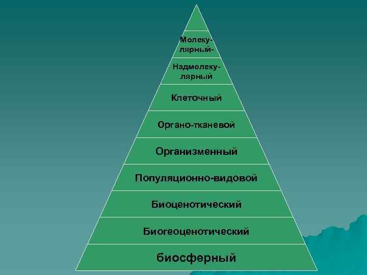 Крупные изменения повышающие уровень организации это