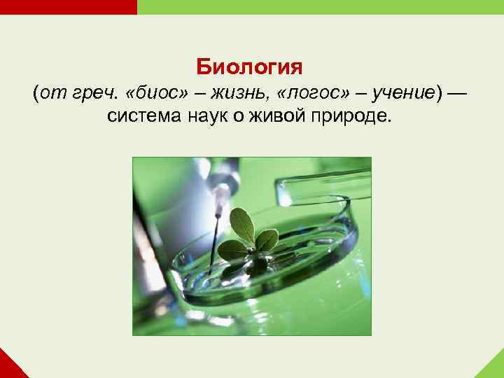 1 наука о живой природе. Биология презентация. Наука о живых организмах. Что изучает биология. Науки биологии.