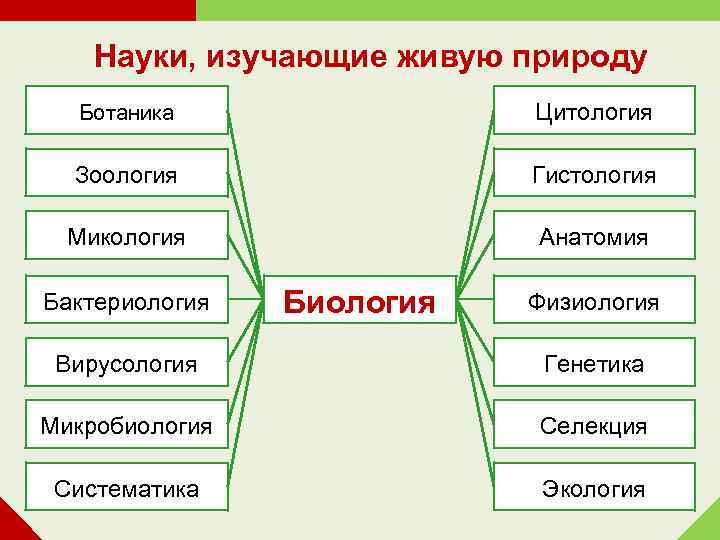 Науки, изучающие живую природу Ботаника Цитология Зоология Гистология Микология Анатомия Бактериология Биология Физиология Вирусология
