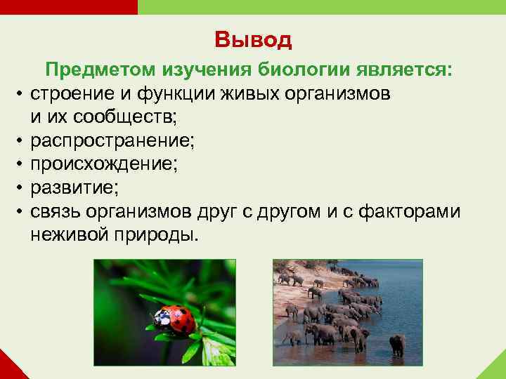 Вывод • • • Предметом изучения биологии является: строение и функции живых организмов и