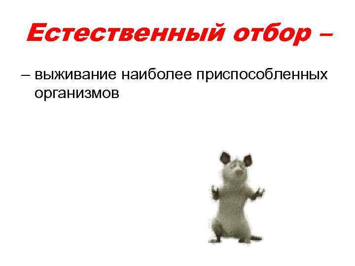 Естественный отбор – – выживание наиболее приспособленных организмов 