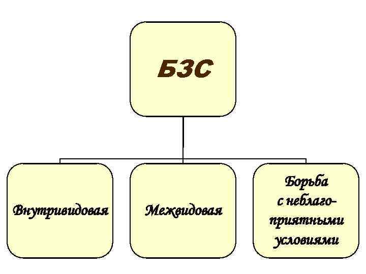 Межвидовые рецензенты на русском. Межвидовые прецеденты. Меж видовые ренцензенты. Межвидовые рецензии. Межвидовые резиденты.