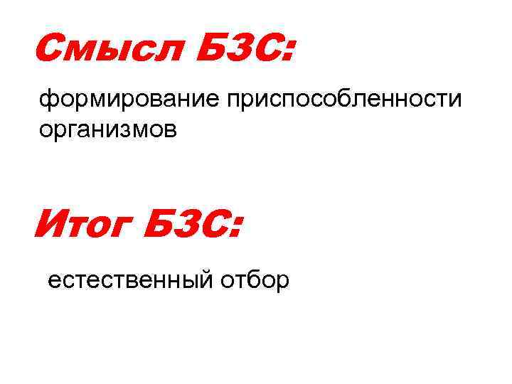 Смысл БЗС: формирование приспособленности организмов Итог БЗС: естественный отбор 