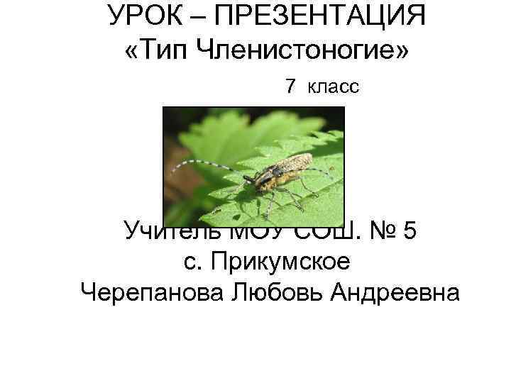 Членистоногие 7 букв. Членистоногие презентация 7 класс. Вывод Членистоногие 7 класс. Эпиграф к уроку Тип Членистоногие. Охрана членистоногих 7 класс.