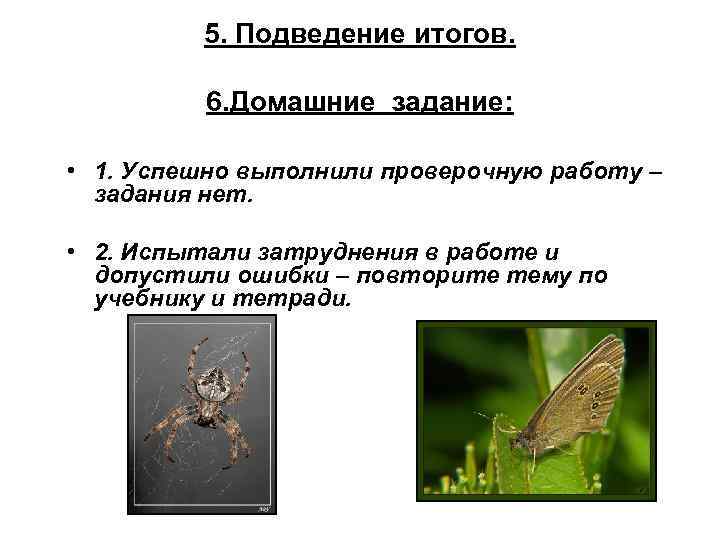 5. Подведение итогов. 6. Домашние задание: • 1. Успешно выполнили проверочную работу – задания