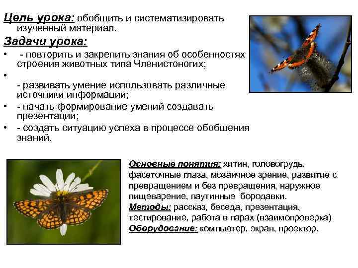 Цель урока: обобщить и систематизировать изученный материал. Задачи урока: • - повторить и закрепить