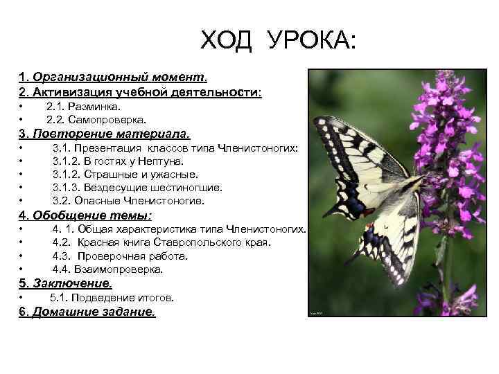 ХОД УРОКА: 1. Организационный момент. 2. Активизация учебной деятельности: • • 2. 1. Разминка.