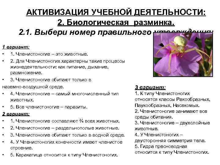 АКТИВИЗАЦИЯ УЧЕБНОЙ ДЕЯТЕЛЬНОСТИ: 2. Биологическая разминка. 2. 1. Выбери номер правильного утверждения: 1 вариант: