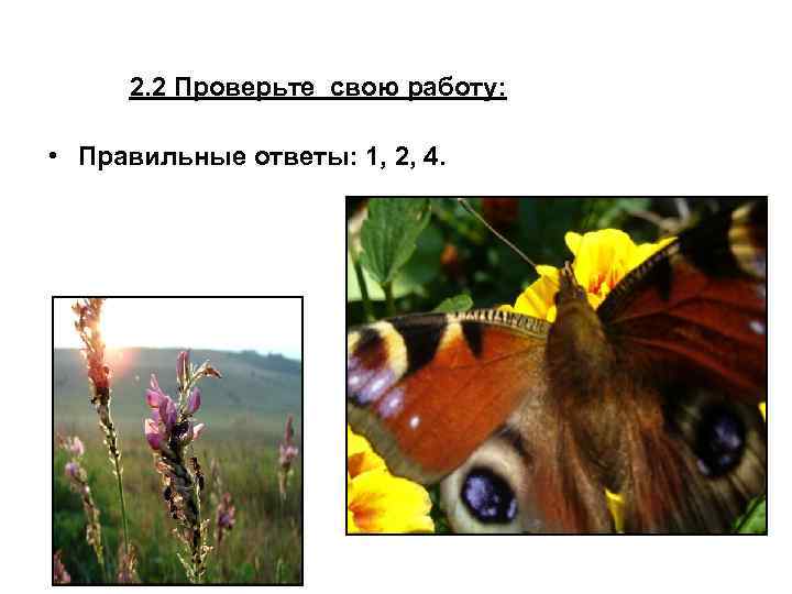2. 2 Проверьте свою работу: • Правильные ответы: 1, 2, 4. 