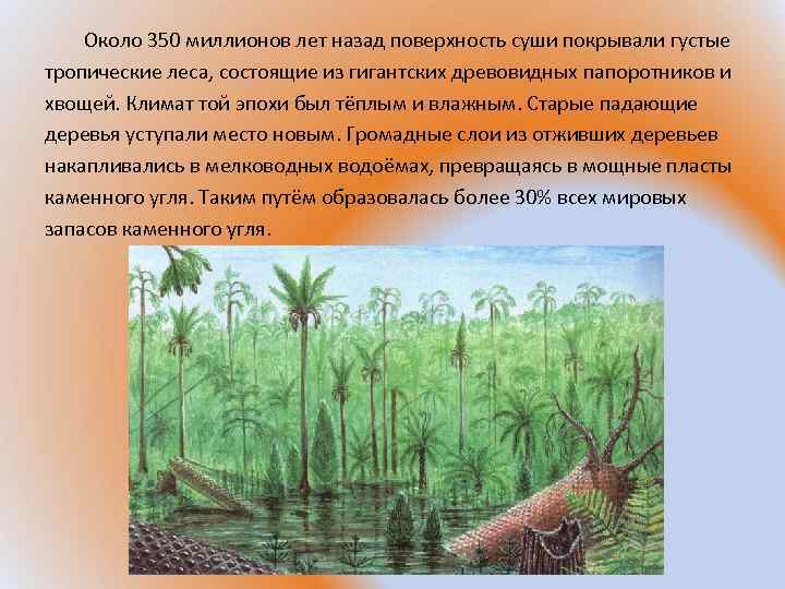 Около 350 миллионов лет назад поверхность суши покрывали густые тропические леса, состоящие из гигантских