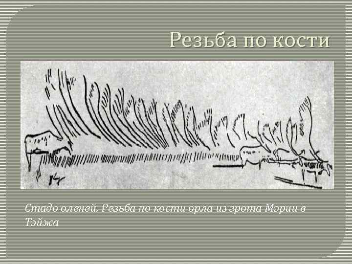 Резьба по кости Стадо оленей. Резьба по кости орла из грота Мэрии в Тэйжа