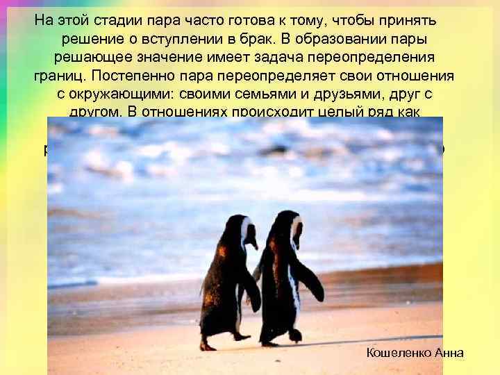 На этой стадии пара часто готова к тому, чтобы принять решение о вступлении в